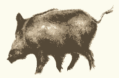aniqueue.gif (5114 octets)
